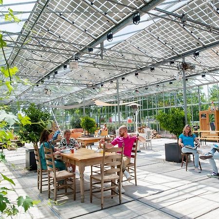 Achterhoeks Goed, Bed & Breakfast In Vragender Exterior foto