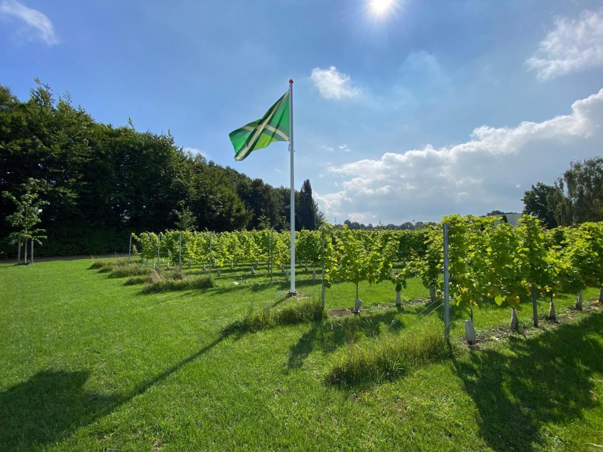Achterhoeks Goed, Bed & Breakfast In Vragender Exterior foto
